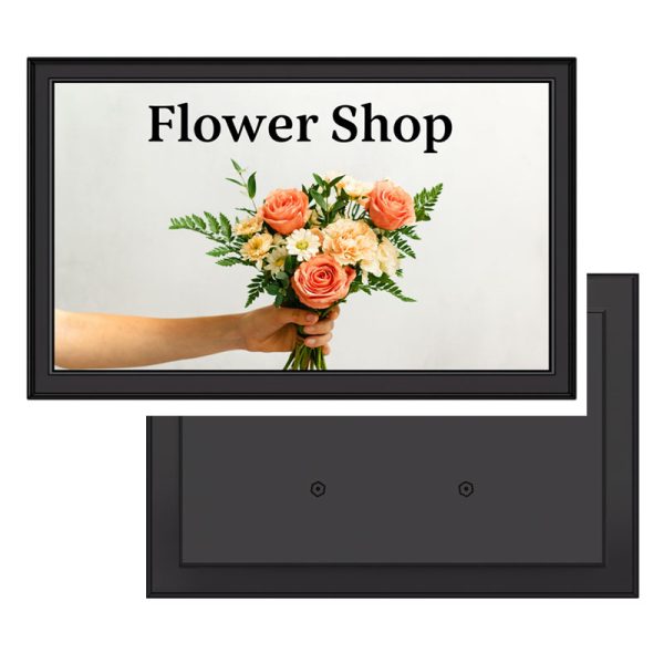Pro 10.1″ Professional Monitor